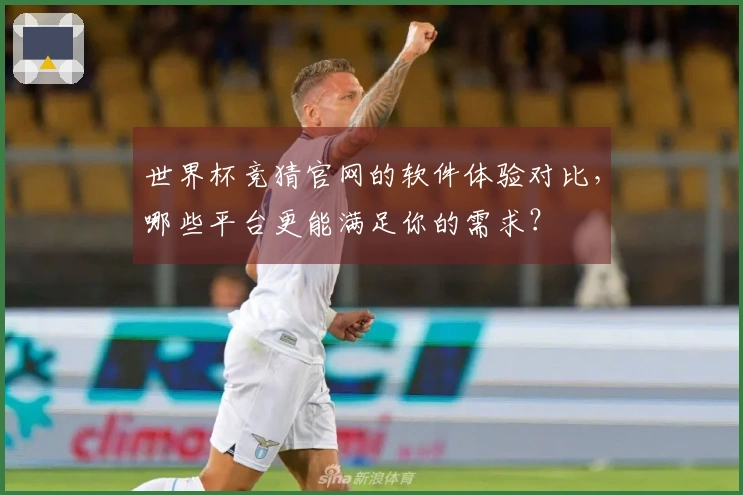 世界杯竞猜官网的软件体验对比，哪些平台更能满足你的需求？