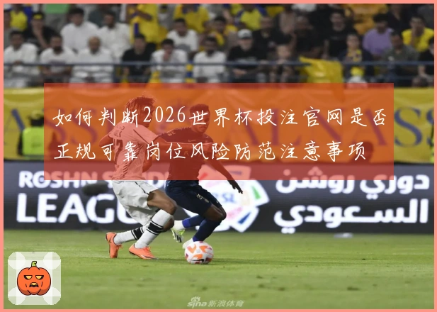 如何判断2026世界杯投注官网是否正规可靠岗位风险防范注意事项