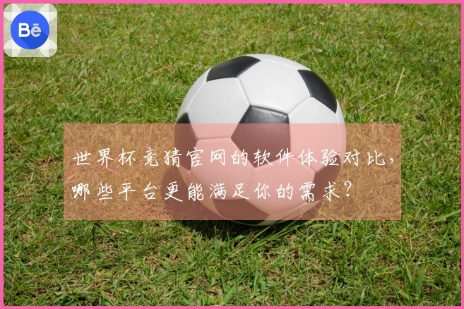 世界杯竞猜官网的软件体验对比，哪些平台更能满足你的需求？