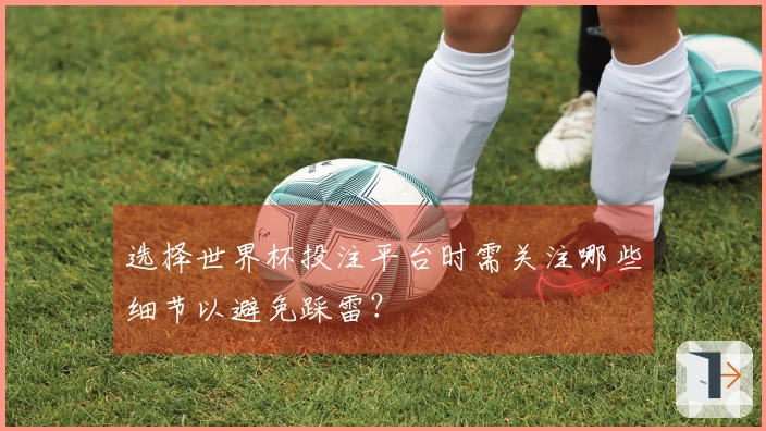 选择世界杯投注平台时需关注哪些细节以避免踩雷？